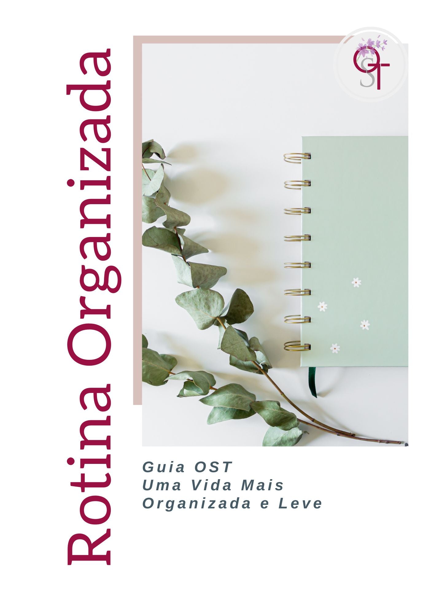 Guia OST - Rotina Organizada