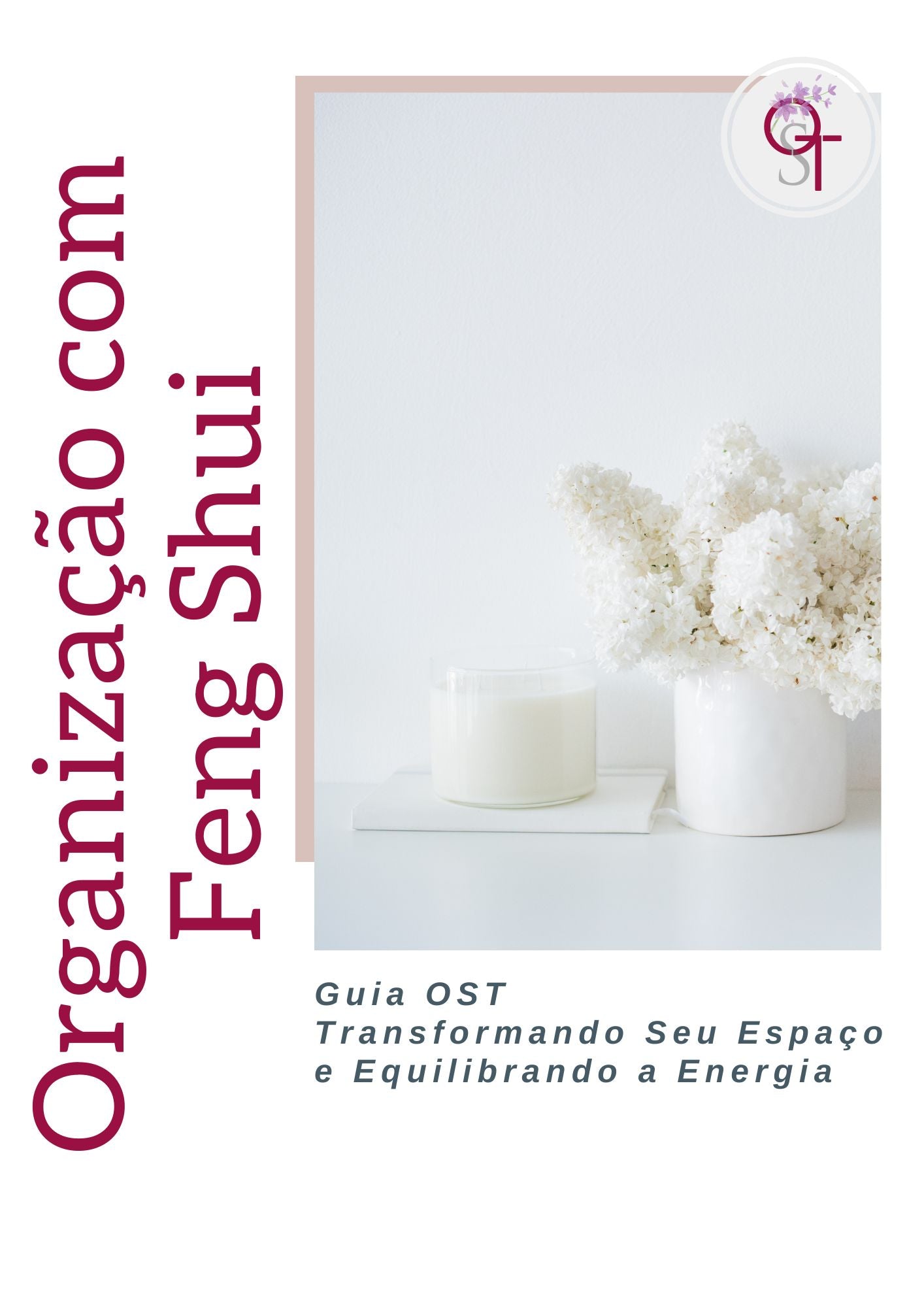 Guia OST - Organização com Feng Shui